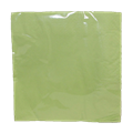 SALVETA 3 SL 38x38 CM ZELENA 40/1