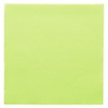 SALVETA " DOUBLE POINT" 18 GSM 2 SL 33X33 CM SVIJETLO ZELENA 50/1
