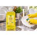 DETERDŽENT ZA RUČNO PRANJE SUĐA 5 L FRESH LINE