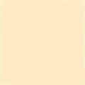 SALVETA "AIRLAID" 55 GSM 2 SL 40x40 CM BEŽ 50/1