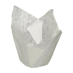 TULIPM8050