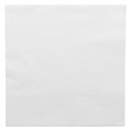 SALVETA 40X40 BIJELA 2SL