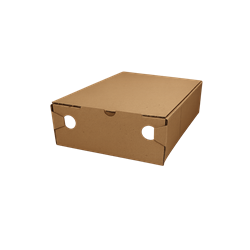 ChatGPT Image Feb 27, 2026, 09_21_41 AM