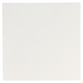 SALVETA "DOUBLE POINT" 55 GSM 2 SL 20X20 CM BIJELA 100/1