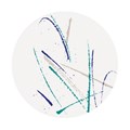 PODMETAČ, PODLOŽAK ZA ČAŠU PAPIRNATI BIJELI FI 9 CM 500/1