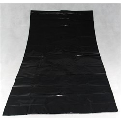 G10110025