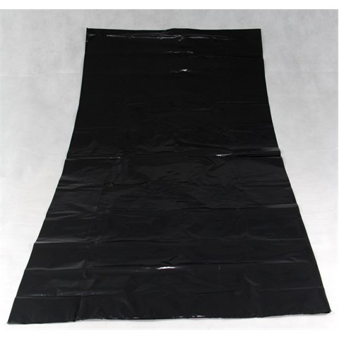 G10110025