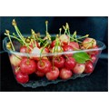 POSUDA ZA JAGODE 500 G