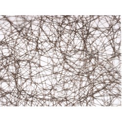 DS 23527 19