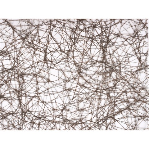 DS 23527 19