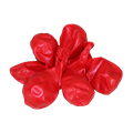BALON CRVENI 30,5 CM 50/1
