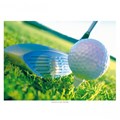 PODMETAČ ZA STOL GOLF 31X43 CM 70 GSM 500/1