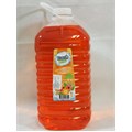 UNIVERZALNO SREDSTVO ZA PRANJE PODOVA FRESH LINE 5L