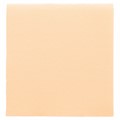 SALVETA " DOUBLE POINT" 18 GSM 2 SL 20X20 CM IVORY 100/1